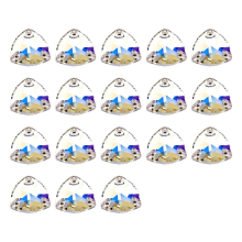 Met de hand genaaid diamantglas kristal met dubbele gaten en platte bodem, DIY-kledingaccessoires, kristal, gebruikt voor kleding en tassen