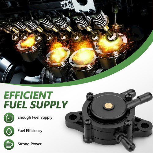 Pomp met filter en olieslang voor 17HP-25 808656 808492 2