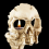 Spookachtige theelichthouder - Halloweendecoraties Horrorschedelhouders Hars 2