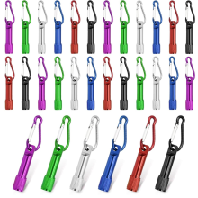 30 stuks mini sleutelhanger zaklampen in bulk, LED metalen karabijnhaak clip lampen, compacte noodverlichting voor kamperen en wandelen