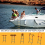 5-traps bootjachtladder, reddingslijnhanger, gesp, viskajakaccessoires 4