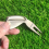 2-delige golf pitchmark-tool, draagbare mini-tool voor het repareren van divots 5