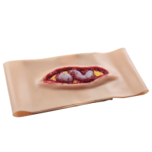 Nieuw model voor het trainen van abdominale anatomiewonden voor medisch onderwijs en training, een simulatie van noodsituaties kan worden gedragen