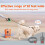 Dog Bark Control Device with Adjustable Modes and Long-Lasting Battery 9