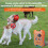 Dog Bark Control Device with Adjustable Modes and Long-Lasting Battery 6