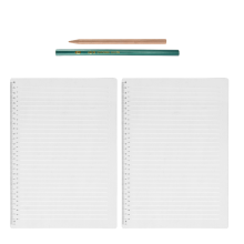 2 stuks plastic sjabloon voor rechte lijnen voor journaling, afstandsaanduiding, schrijfliniaal met een schaal van 11 inch