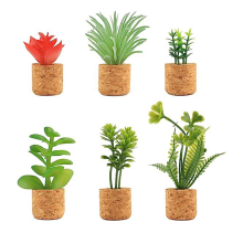6 stuks cactus koelkastmagneten mini schattige plant koelkastmagneet decoratie accessoires voor thuis keuken kantoor