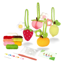 Haakpakket voor beginners, beginnersfruit voor volwassenen, met stapsgewijze videotutorials en stekengaren