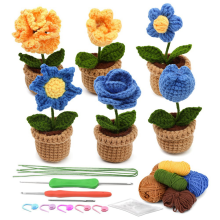 6-delige haakset met potplanten, complete set voor beginners en volwassenen met stapsgewijze instructies en videotutorials