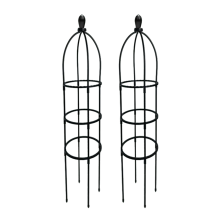 Klimplanten obelisk trellis, tuinwijnstokstandaard, bloementoren, 2 stuks (B)