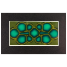 Magnetische kijkfilm, 2 inch x 4 inch veldviewer voor wetenschappelijke projecten, herbruikbaar en automatisch herstel