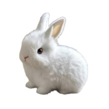 (17cmx9cmx18cm, White) Electronic Bunny Plush Animated Interaction Gift Electronic Pet Toy for Gift White
