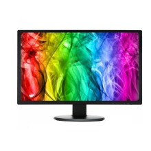 Dell 22" LCD TFT PC Movie Gaming CCTV VGA Monitor