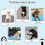 Reusable Dog Cooling Mat Extra Large 100x70cm, Easy-Fold Pet Cool Mat 5