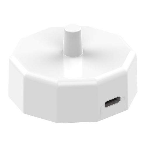 Base de carga con cable USB C, cable de carga magnético para cepillo de dientes eléctrico, cable rápido blanco 2