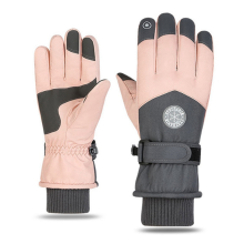 Ski Gloves Winter for Women Snowboard Mittens Touchscreen