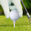70 mm:n golfpiikit sisä- ja ulkogolfareille 5