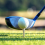 70 mm:n golfpiikit sisä- ja ulkogolfareille 8