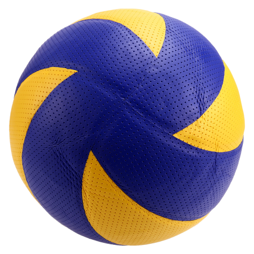 Size 5 Professional Volleyball Competition Training