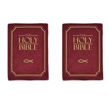 2X Cozy Faith Bible Pillow - Plush Book Shape with Verse, Perfect Christian Gift for Kids and Adults