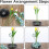 Ikebana Kit Floral Frog Flower Container 5