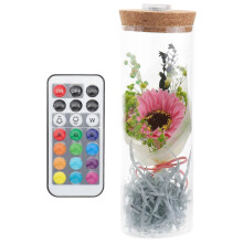 Natural Preserved Flowers Wishing Bottle Flower Elegant Wedding Round Dome Shape 1Set