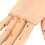 Modelo de mano de madera, mano derecha, dedos flexibles 11