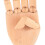 Modelo de mano de madera, mano derecha, dedos flexibles 7