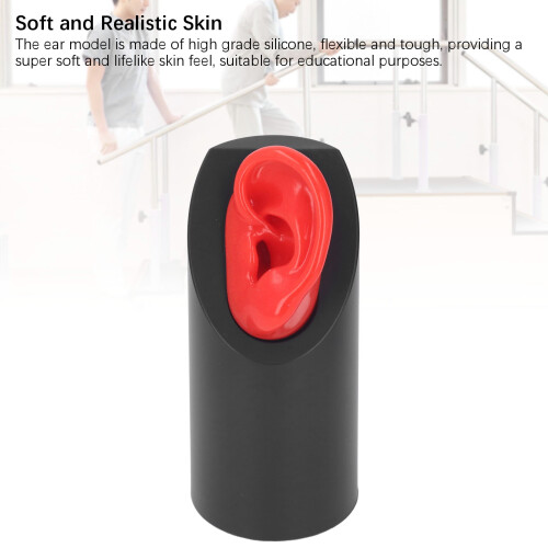 Modelo de oreja izquierda de silicona para soporte de práctica 2
