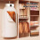 Foldable 600W Portable Clothes Dryer 10kg EU Plug 220V 10
