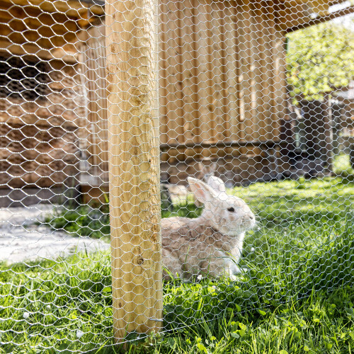 Windhager Small Animal Mesh Galvanised 1 x 10 m 2