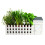 Oliphant Indoor Allotment Gift Set Herb Garden 2