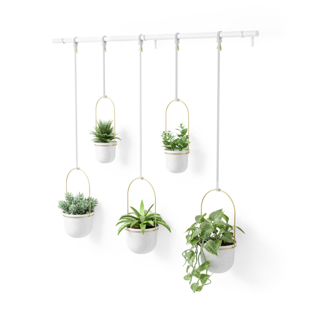Umbra Hanging Planter, for Succulents, Herbs and Other Small Plants, Polypropylene (PP) Metal Brass, Weiss/Messing, 5 Pots