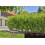 Gardena Gardena Micro-Drip-System Drip Irrigation Set Hedges/Bushes (25 m): Starter set, ready to use, water-saving irrigation system, simple & flexible 4