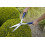 Spear & Jackson Spear & Jackson 4875RSS Razorsharp Steel Wooden Handle Shear 4