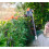 WORX WORX WA0308 Pole Hedge Trimmer Head Attachment for WG349E 3