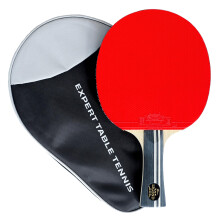 Palio Legend 3.0 Table Tennis Bat & Case | ITTF-Approved Advanced Ping Pong Racket | Maximum Power, Speed & Spin (Single Bat)