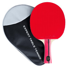 Palio Master 3.0 Table Tennis Bat & Case | ITTF-Approved Intermediate Ping Pong Racket | Allround Speed, Spin and Control