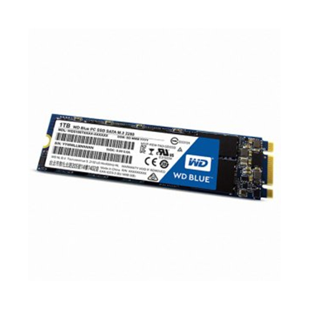 1TB M.2 SATA SSD 560MB/S Read 520MB/S Write 2280 Form Factor-image-OPC-PJ9TST5-NEW