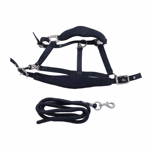 Adjustable Navy Blue Horse Halter Set with 2m Leash for Training