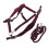 Wine Red Adjustable Horse Halter Set with 2m Leash for Training 7
