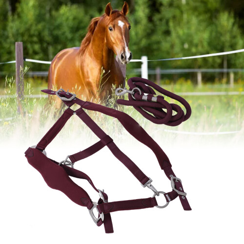 Wine Red Adjustable Horse Halter Set with 2m Leash for Training