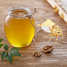 Bee Honey Containers with Dipper for Storage Gold