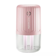 Large Capacity USB Humidifier with Double B
