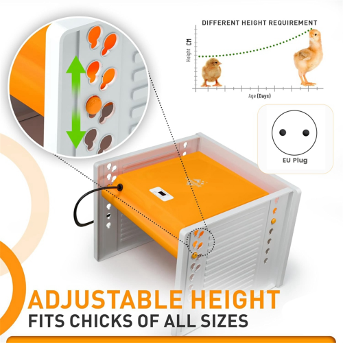 Chick Brooder Heating Plate Digital Temperature Control EU Plug 2