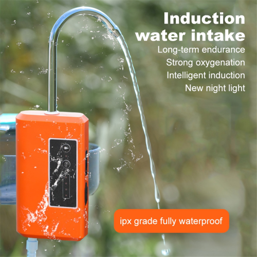 Multifunctional Fishing Oxygen Pump with Intelligent Sensor, C 1