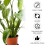 12Pcs Plant Stem Support, Flower Plant Stem Hook Stakes Trellis 5
