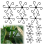 12Pcs Plant Stem Support, Flower Plant Stem Hook Stakes Trellis 2