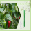 40pcs Tomato Hooks with Cord Plant Buckles 7