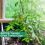 40pcs Tomato Hooks with Cord Plant Buckles 2